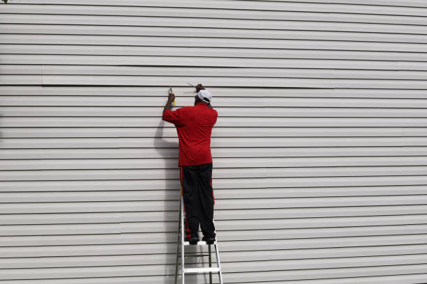 Affordable Siding Repair and Maintenance Services in Nashua, IA